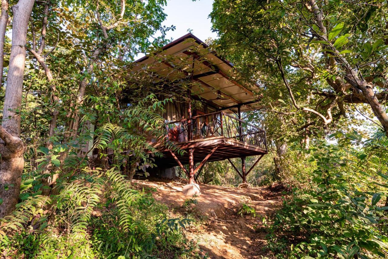Kanha Jungle Camp ภายนอก รูปภาพ