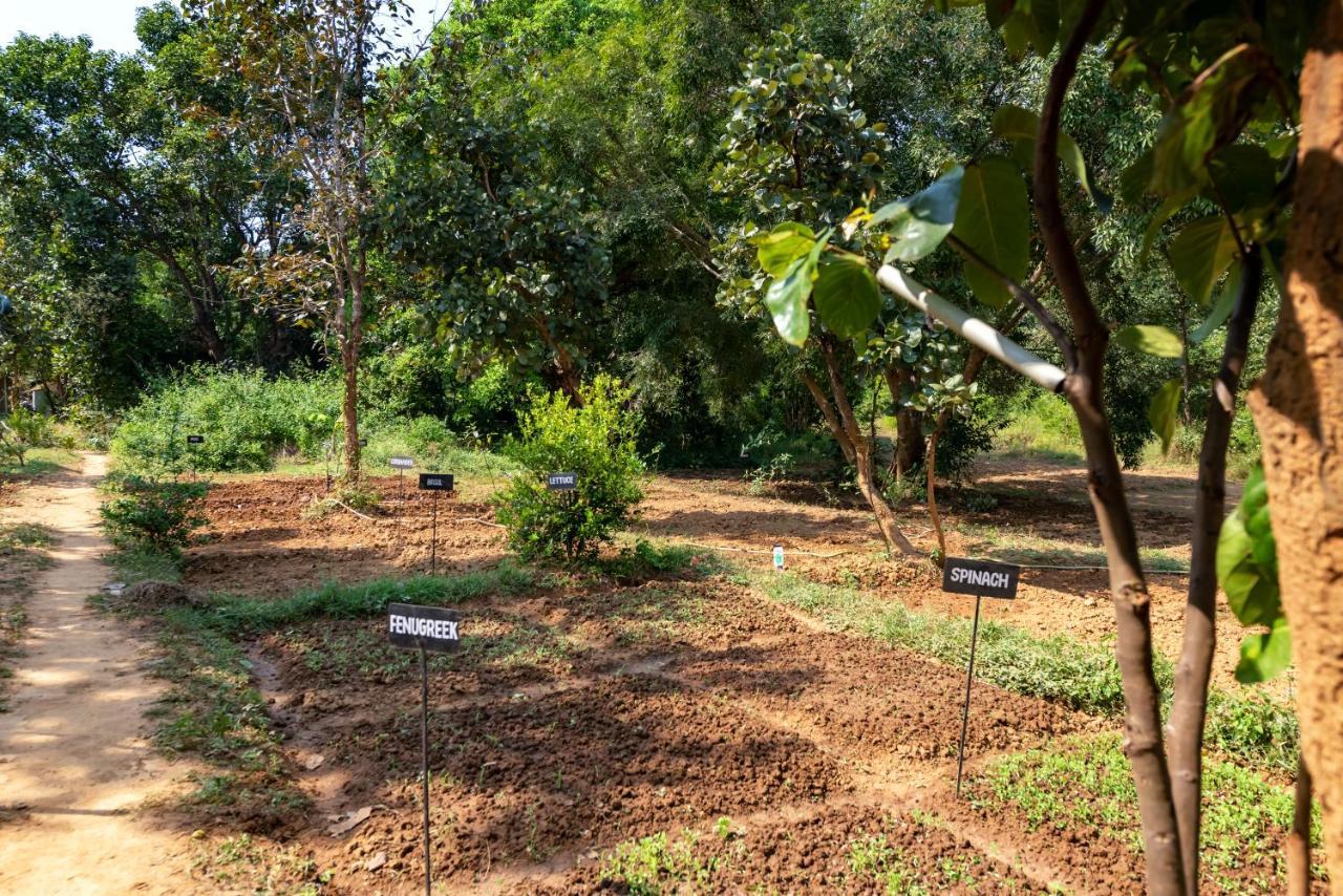 Kanha Jungle Camp ภายนอก รูปภาพ