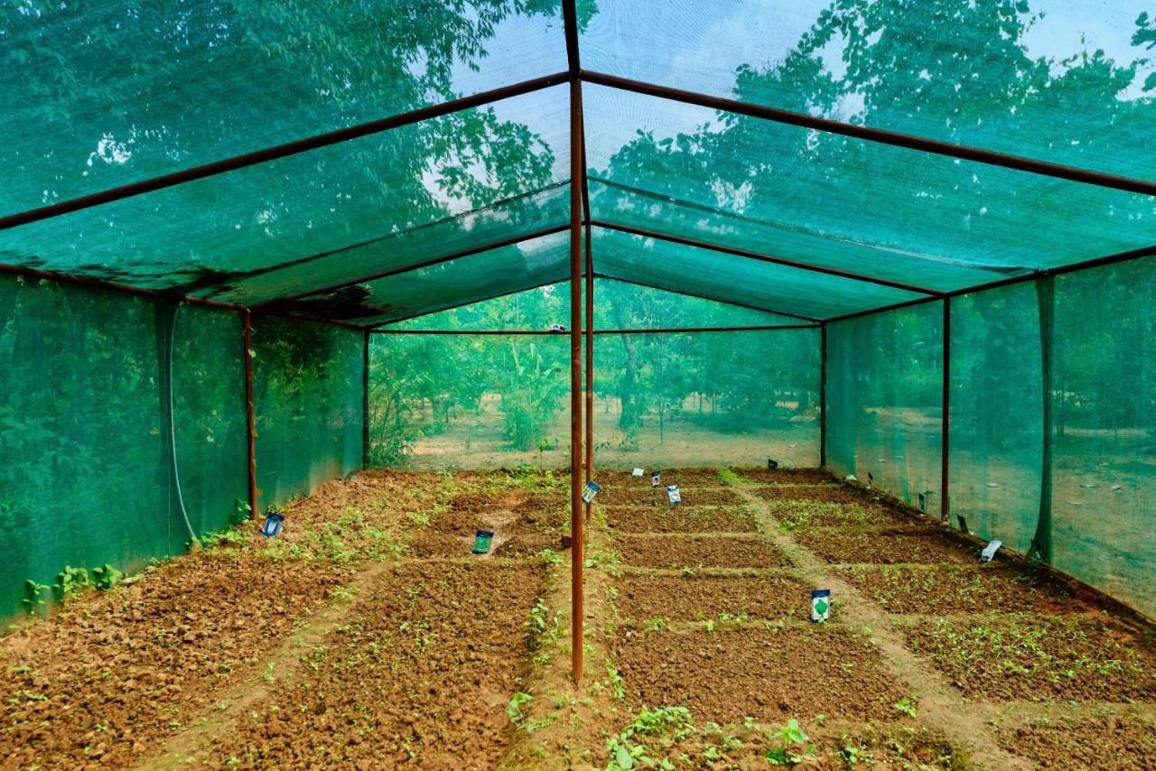 Kanha Jungle Camp ภายนอก รูปภาพ
