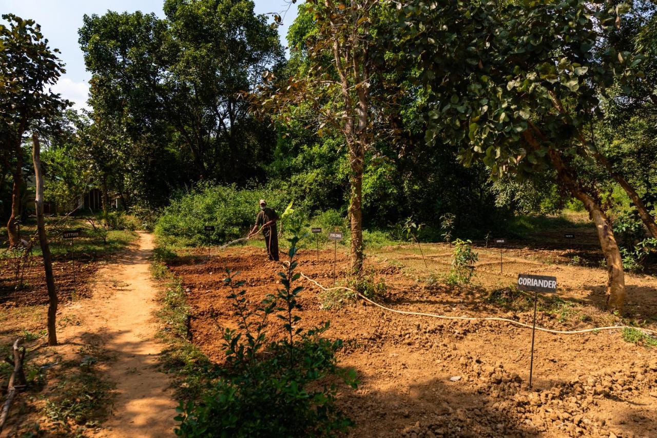 Kanha Jungle Camp ภายนอก รูปภาพ